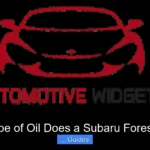 What Type of Oil Does a Subaru Forester Take