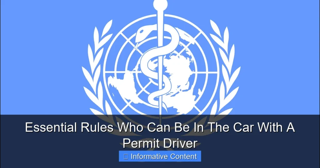 Essential Rules Who Can Be In The Car With A Permit Driver