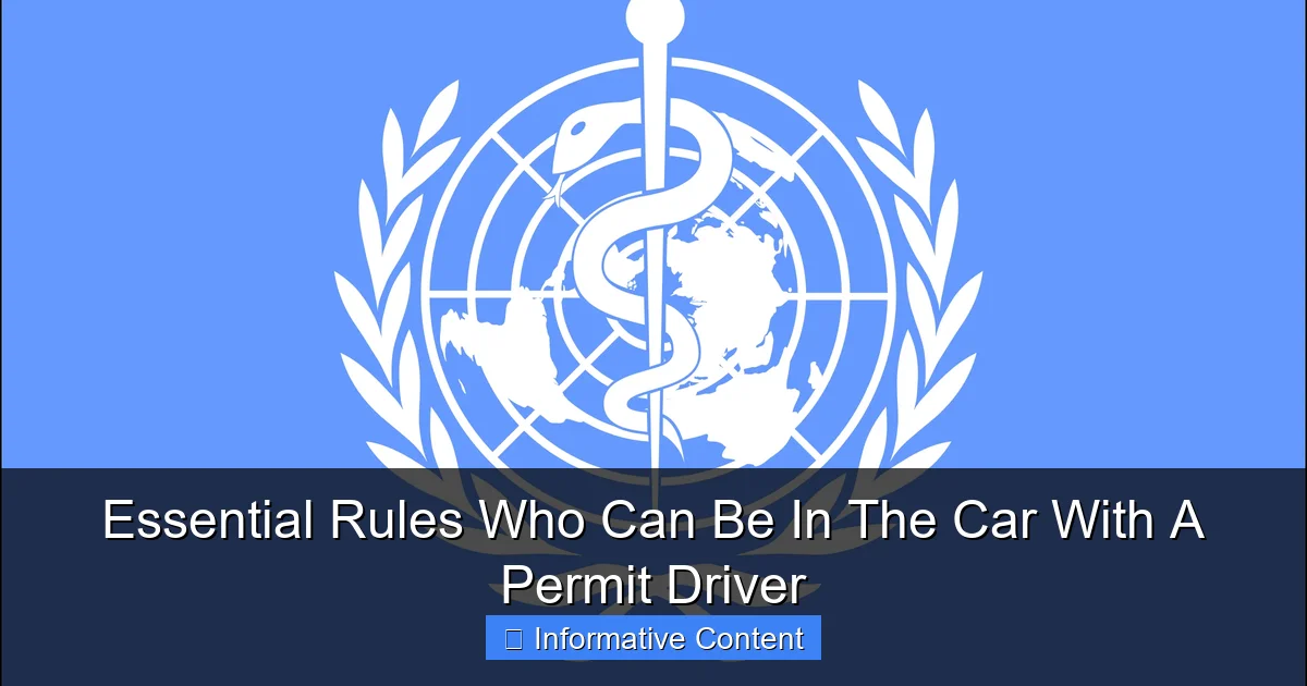 Essential Rules Who Can Be In The Car With A Permit Driver