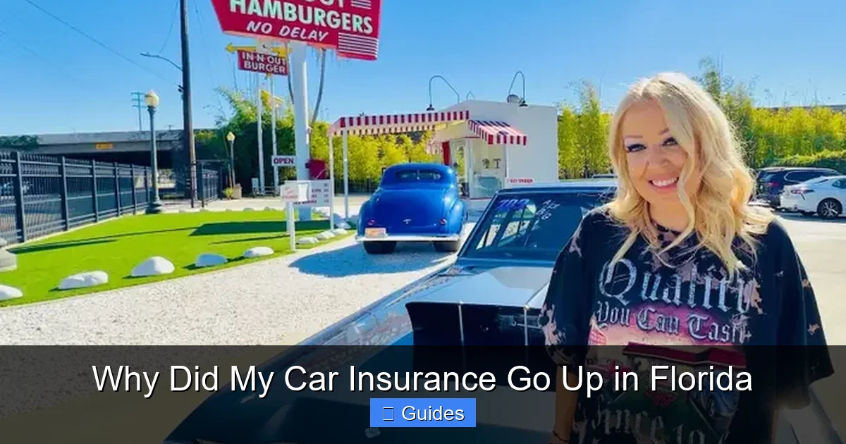 Why Did My Car Insurance Go Up in Florida