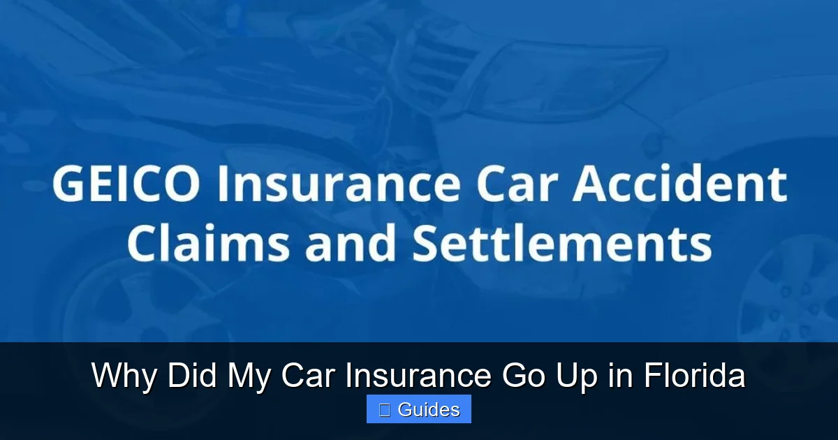 Why Did My Car Insurance Go Up in Florida