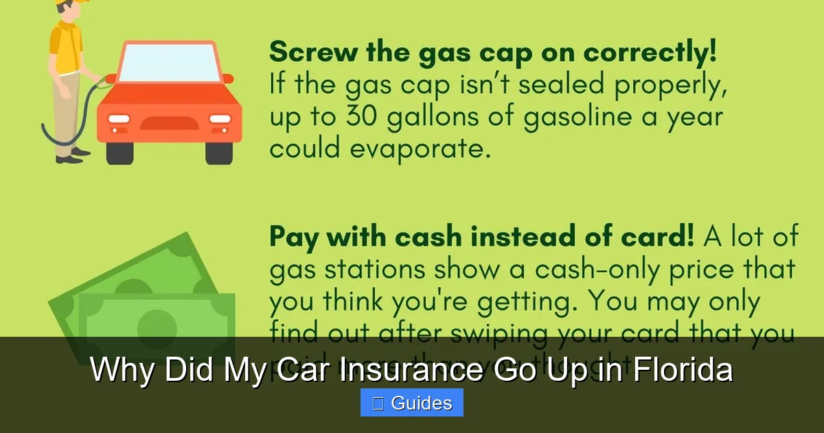 Why Did My Car Insurance Go Up in Florida