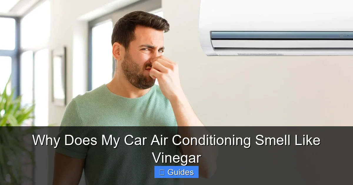 Why Does My Car Air Conditioning Smell Like Vinegar