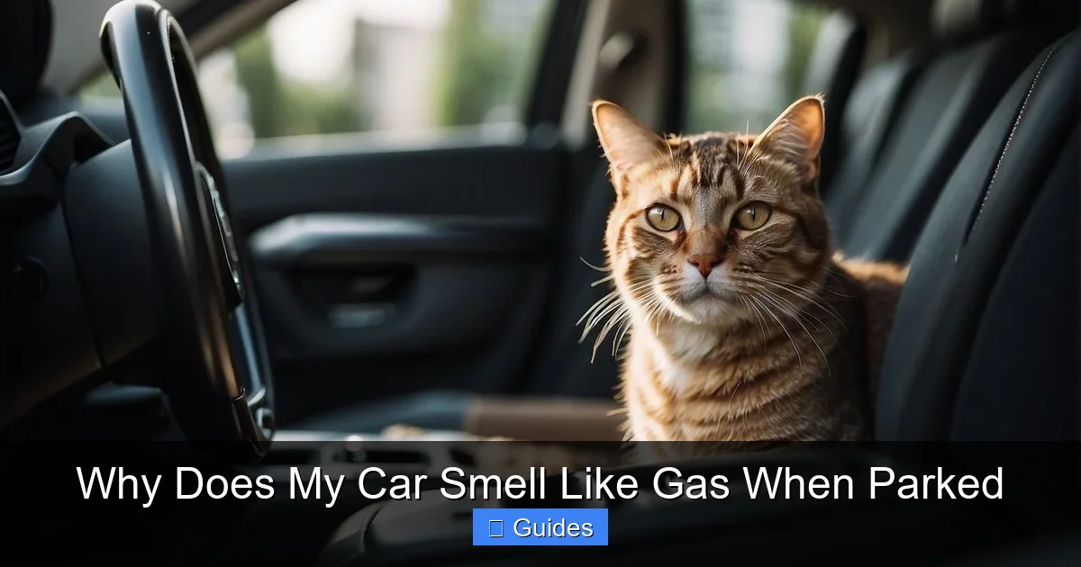 Why Does My Car Smell Like Gas When Parked
