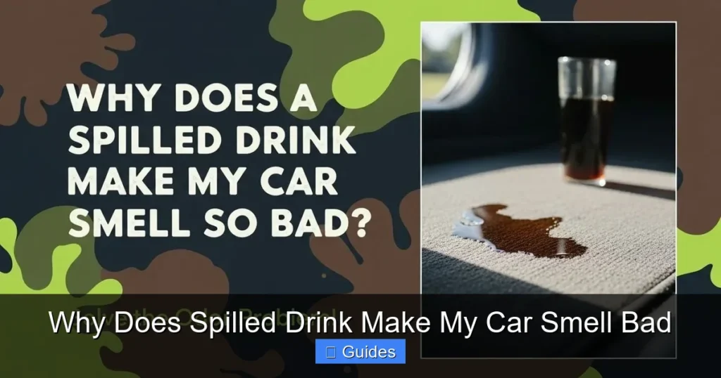 Why Does Spilled Drink Make My Car Smell Bad