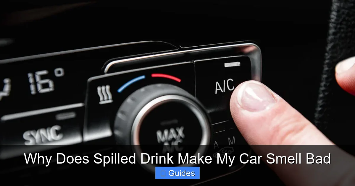 Why Does Spilled Drink Make My Car Smell Bad