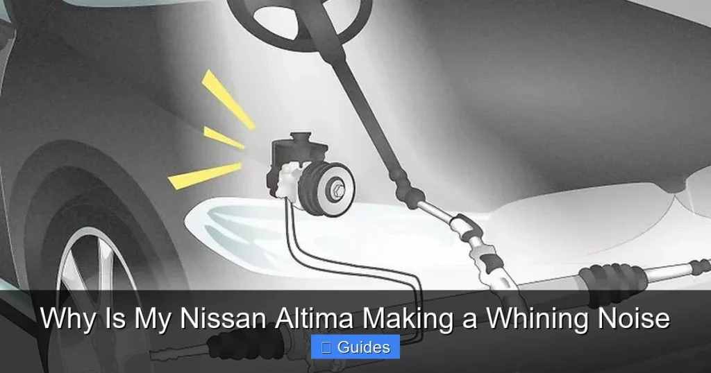 Why Is My Nissan Altima Making a Whining Noise