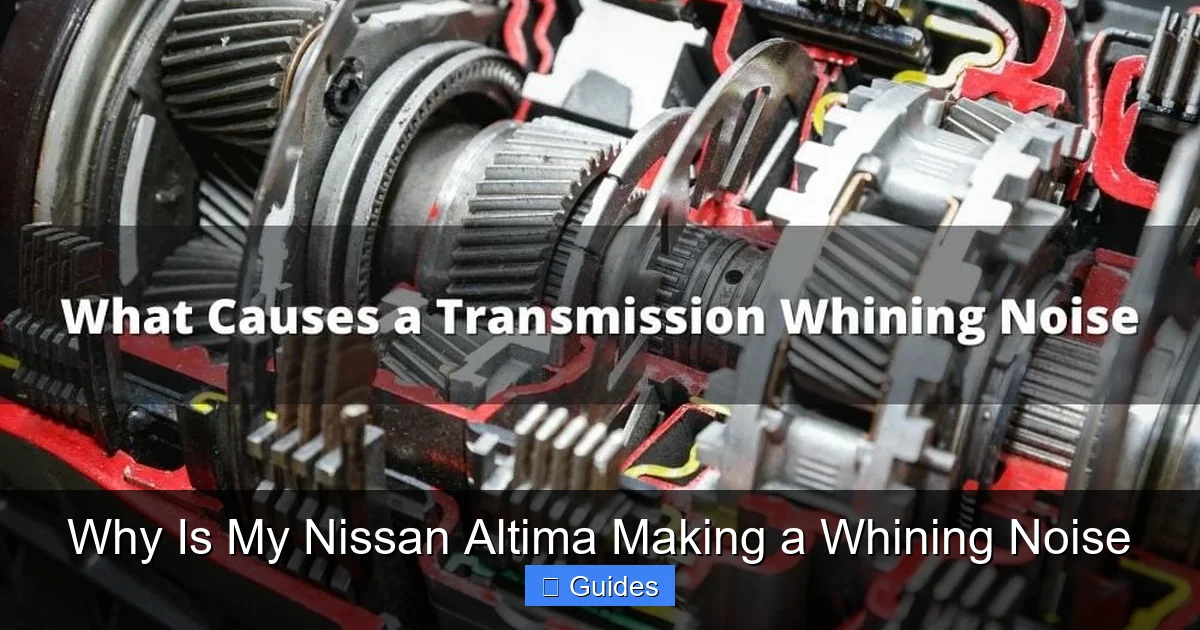 Why Is My Nissan Altima Making a Whining Noise