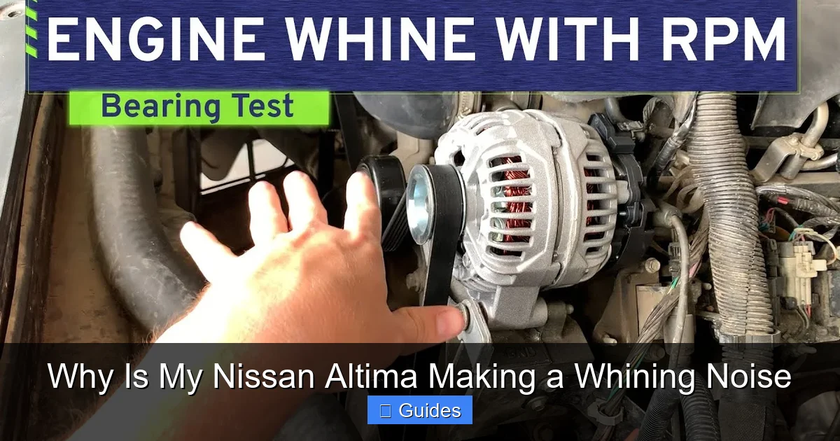 Why Is My Nissan Altima Making a Whining Noise