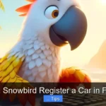 Can a Snowbird Register a Car in Florida