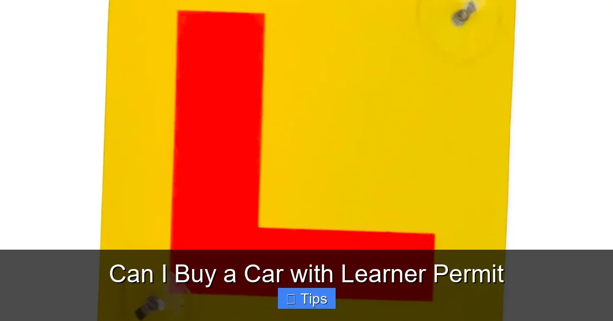 Can I Buy a Car with Learner Permit