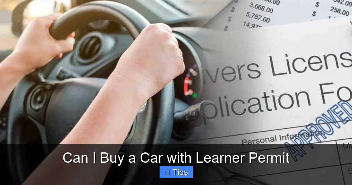 Can I Buy a Car with Learner Permit