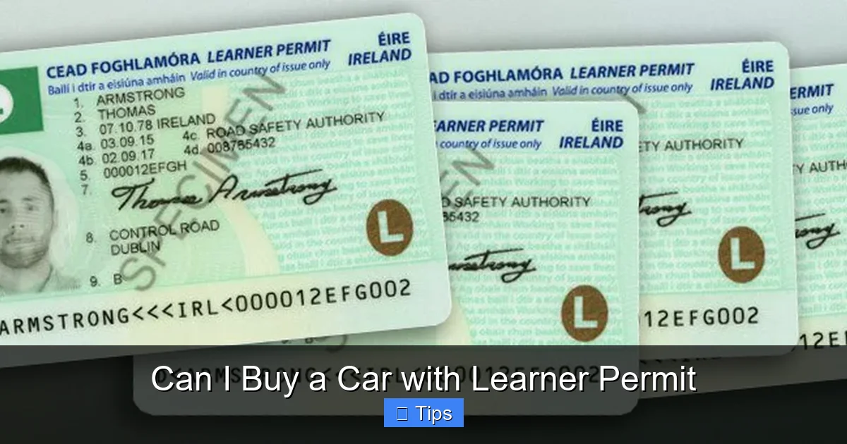 Can I Buy a Car with Learner Permit