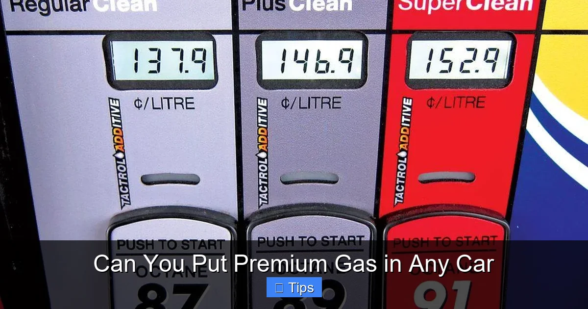 Can You Put Premium Gas in Any Car