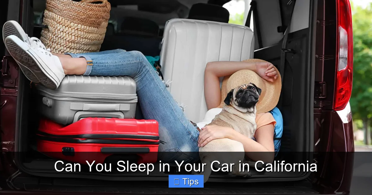 Can You Sleep in Your Car in California
