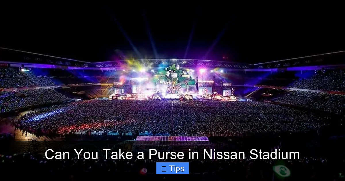 Can You Take a Purse in Nissan Stadium