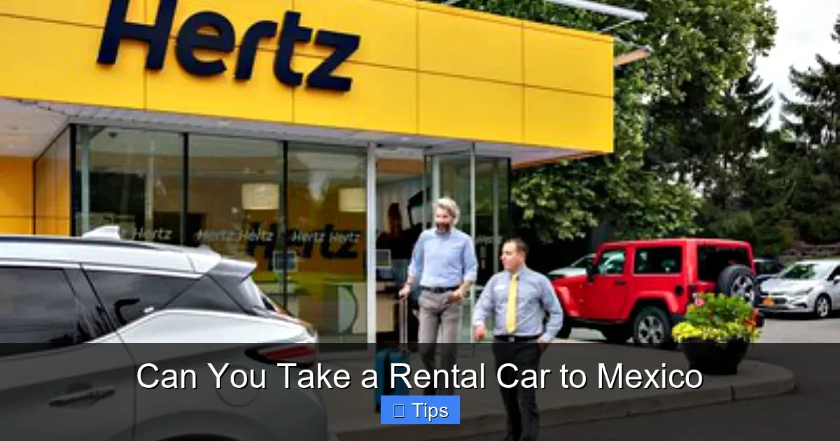 Can You Take a Rental Car to Mexico