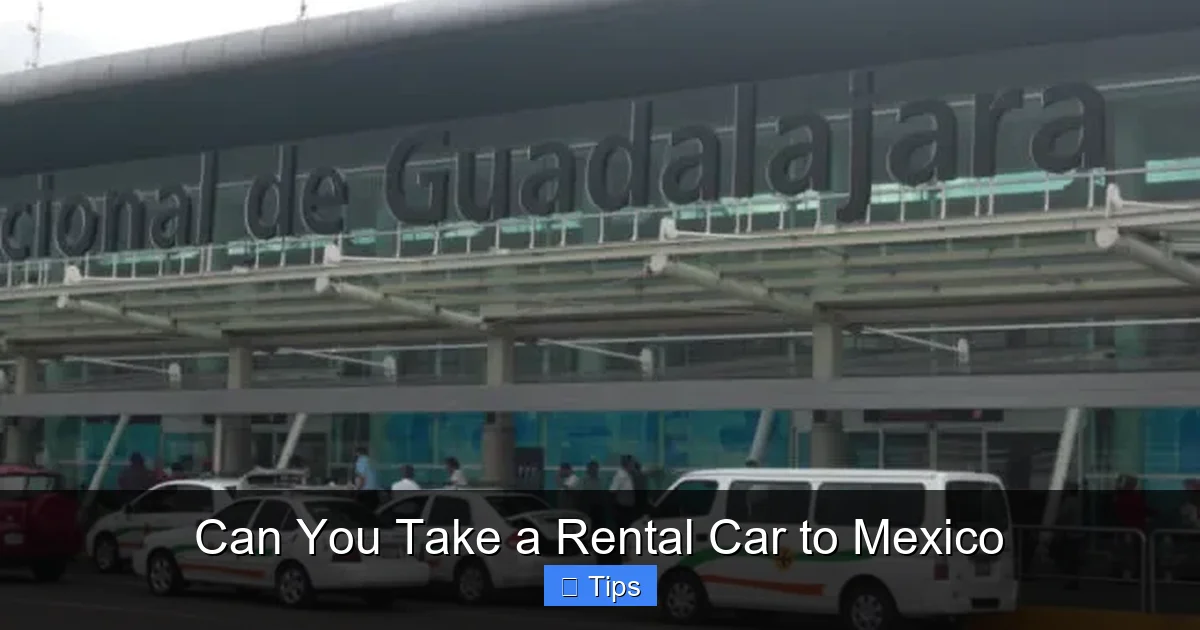 Can You Take a Rental Car to Mexico
