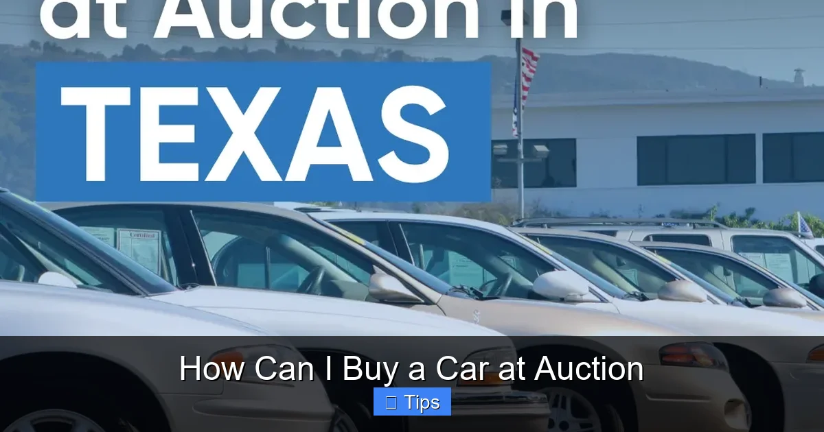 How Can I Buy a Car at Auction