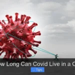 How Long Can Covid Live in a Car