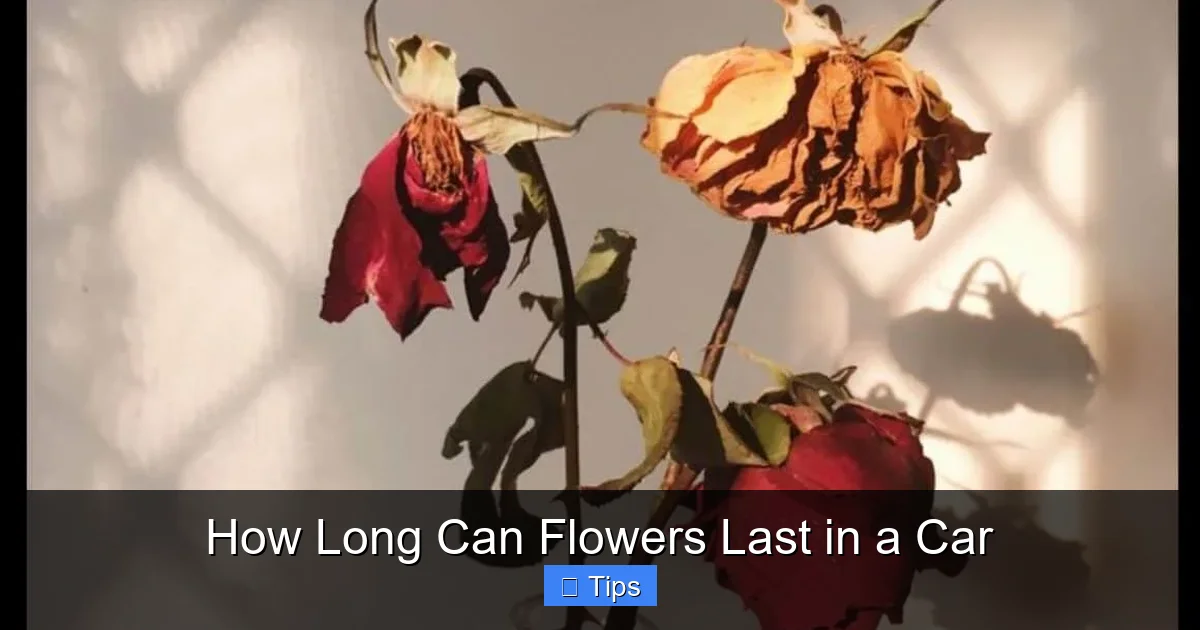 How Long Can Flowers Last in a Car