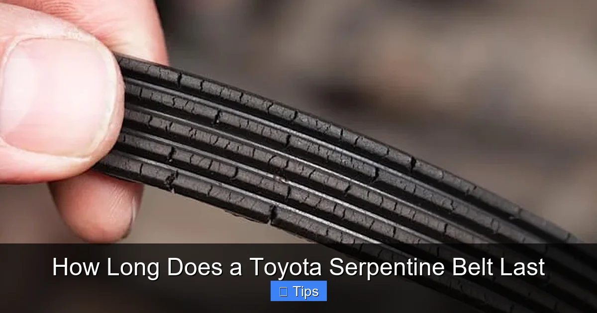 How Long Does a Toyota Serpentine Belt Last