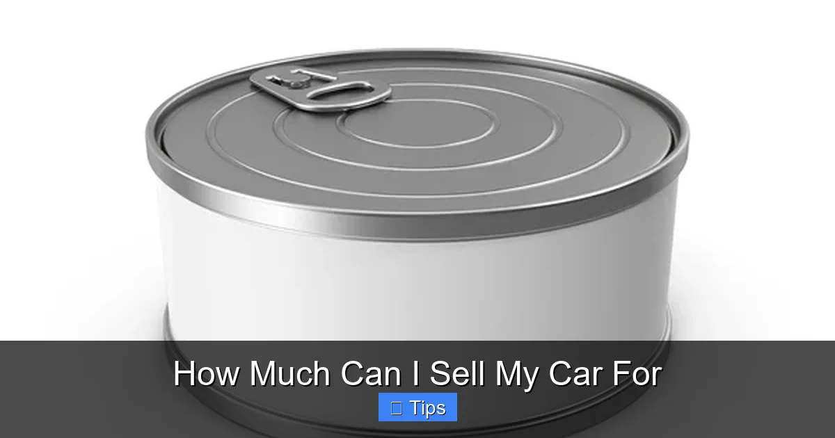How Much Can I Sell My Car For