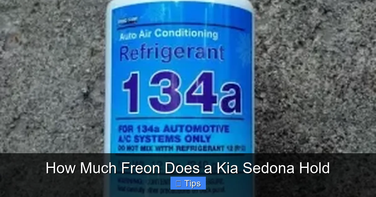 How Much Freon Does a Kia Sedona Hold