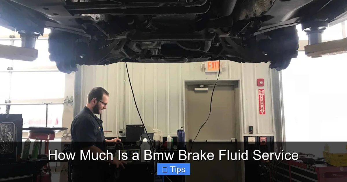 How Much Is a Bmw Brake Fluid Service