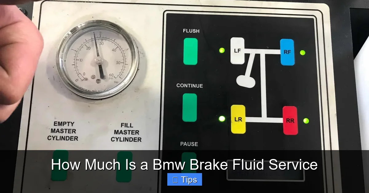 How Much Is a Bmw Brake Fluid Service