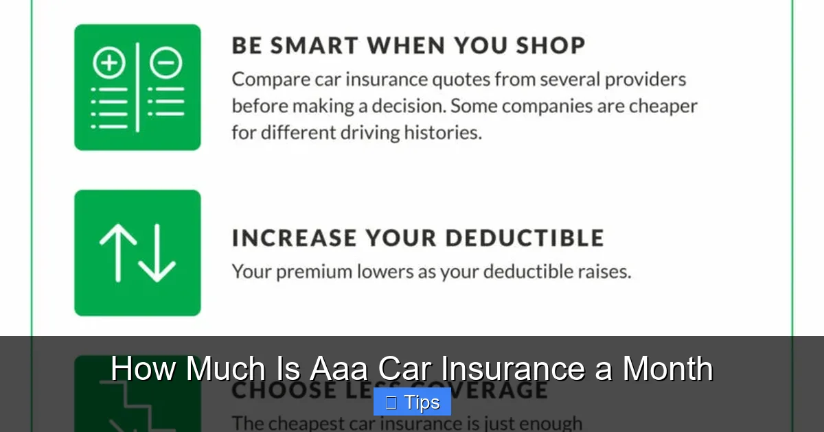 How Much Is Aaa Car Insurance a Month