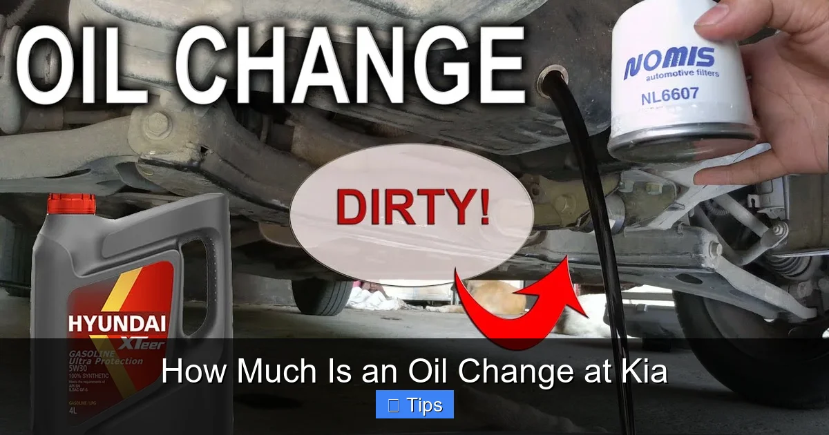 How Much Is an Oil Change at Kia