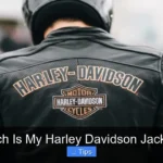 How Much Is My Harley Davidson Jacket Worth