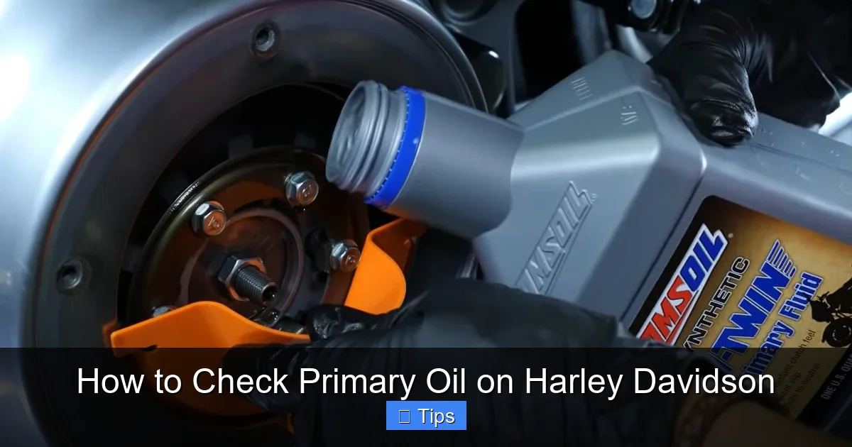 How to Check Primary Oil on Harley Davidson