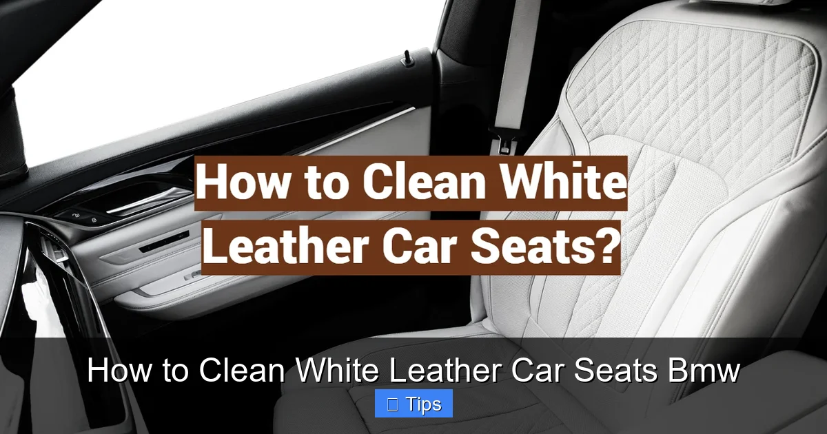 How to Clean White Leather Car Seats Bmw