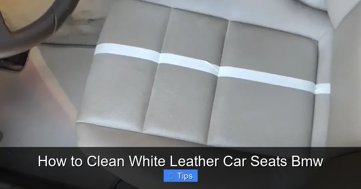 How to Clean White Leather Car Seats Bmw