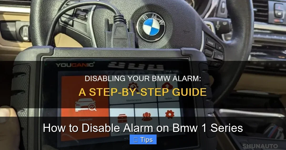How to Disable Alarm on Bmw 1 Series