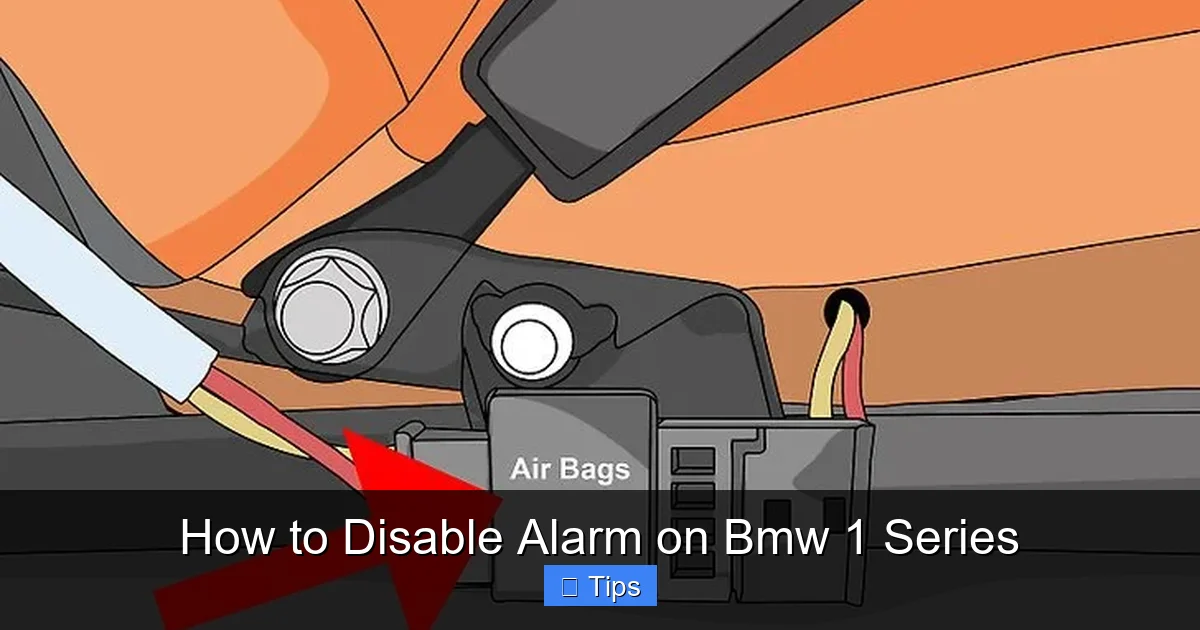 How to Disable Alarm on Bmw 1 Series