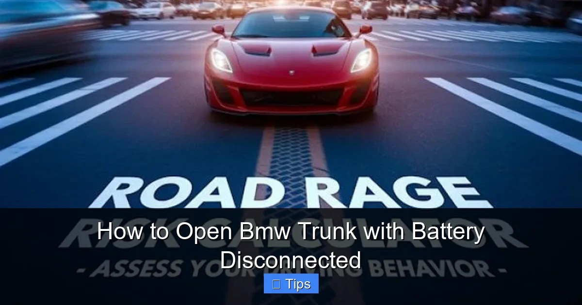 How to Open Bmw Trunk with Battery Disconnected