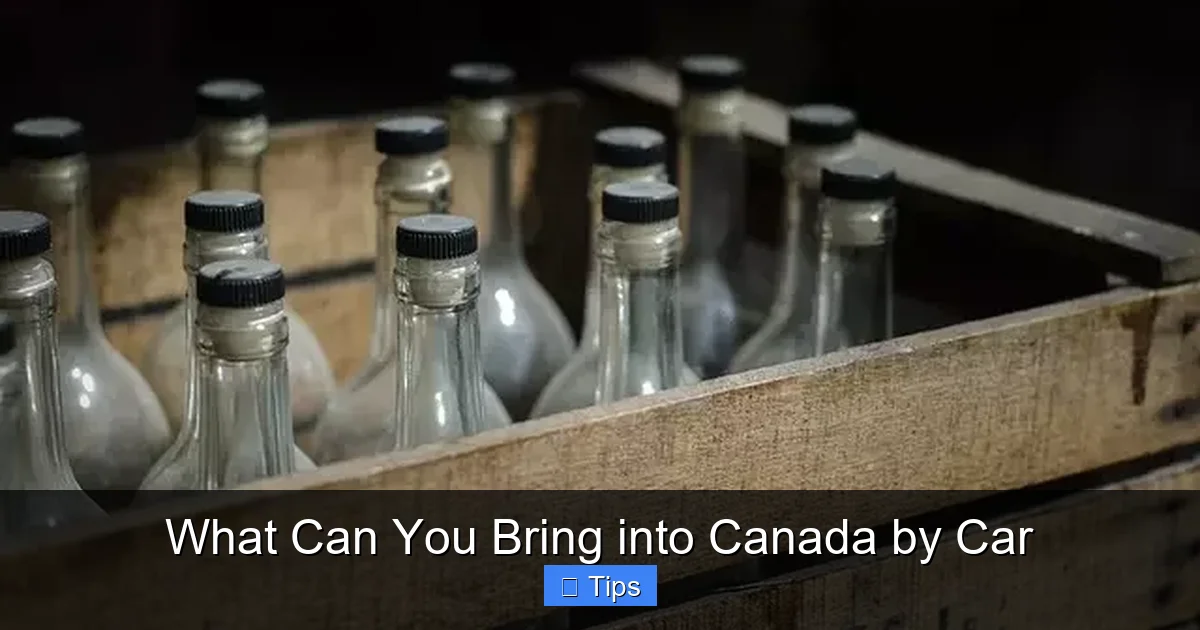 What Can You Bring into Canada by Car