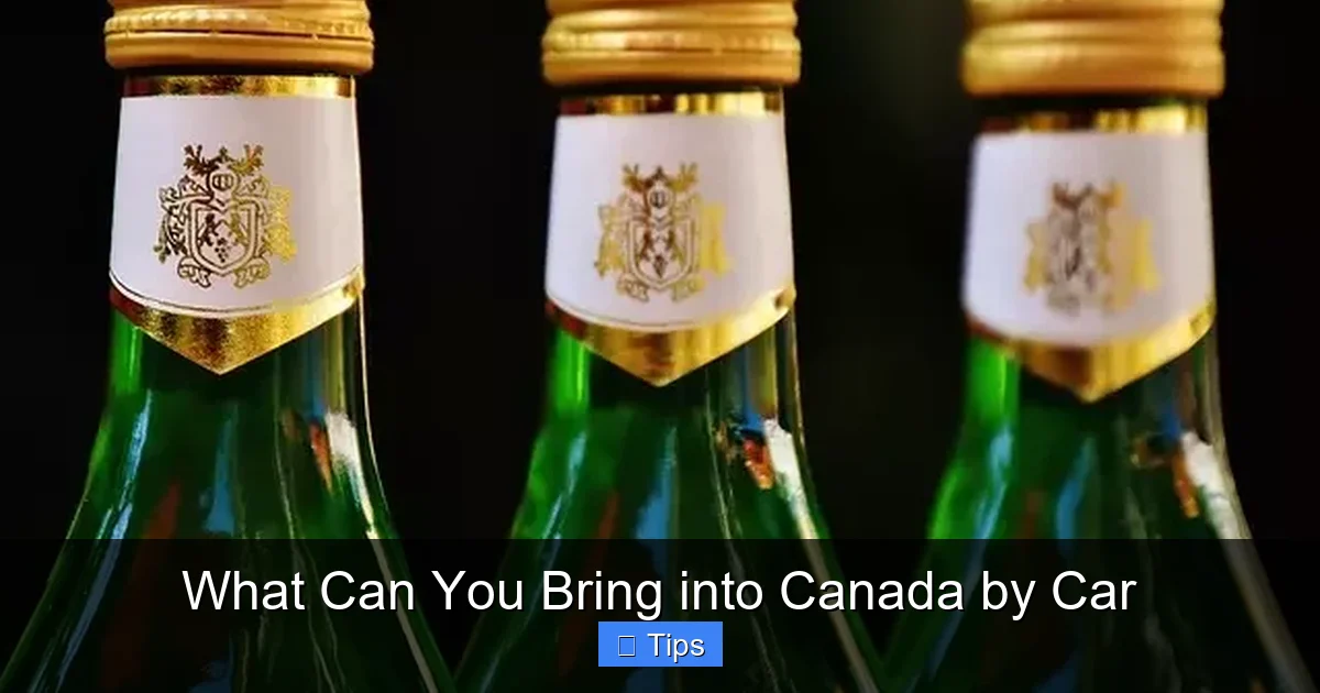 What Can You Bring into Canada by Car