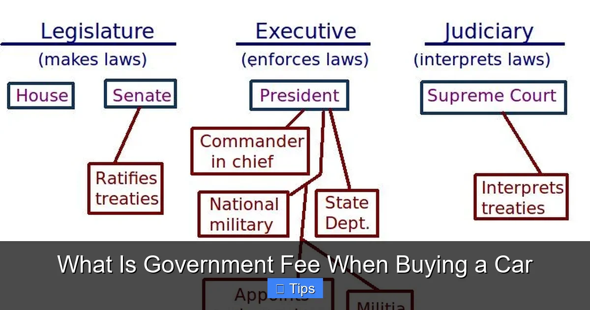 What Is Government Fee When Buying a Car