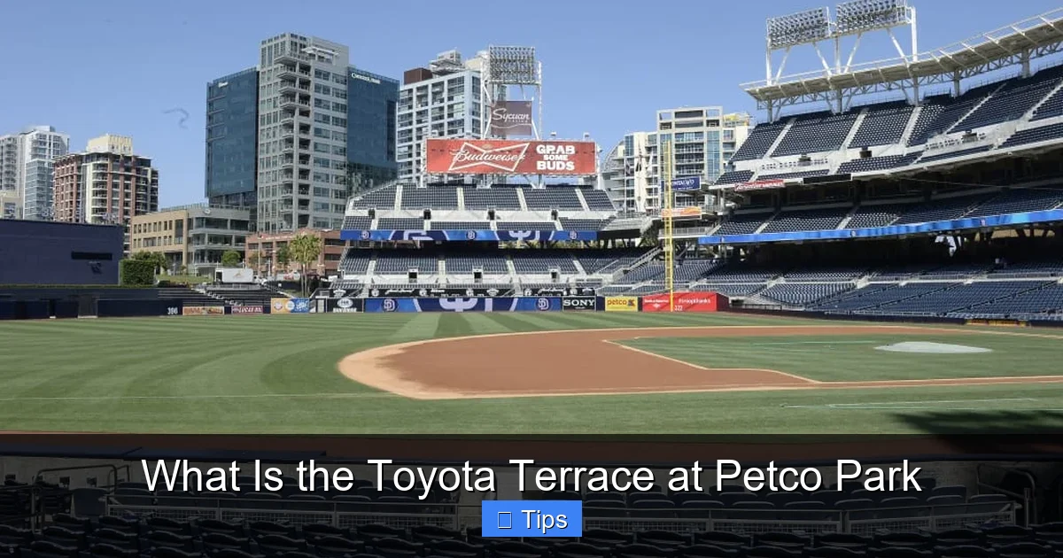 What Is the Toyota Terrace at Petco Park