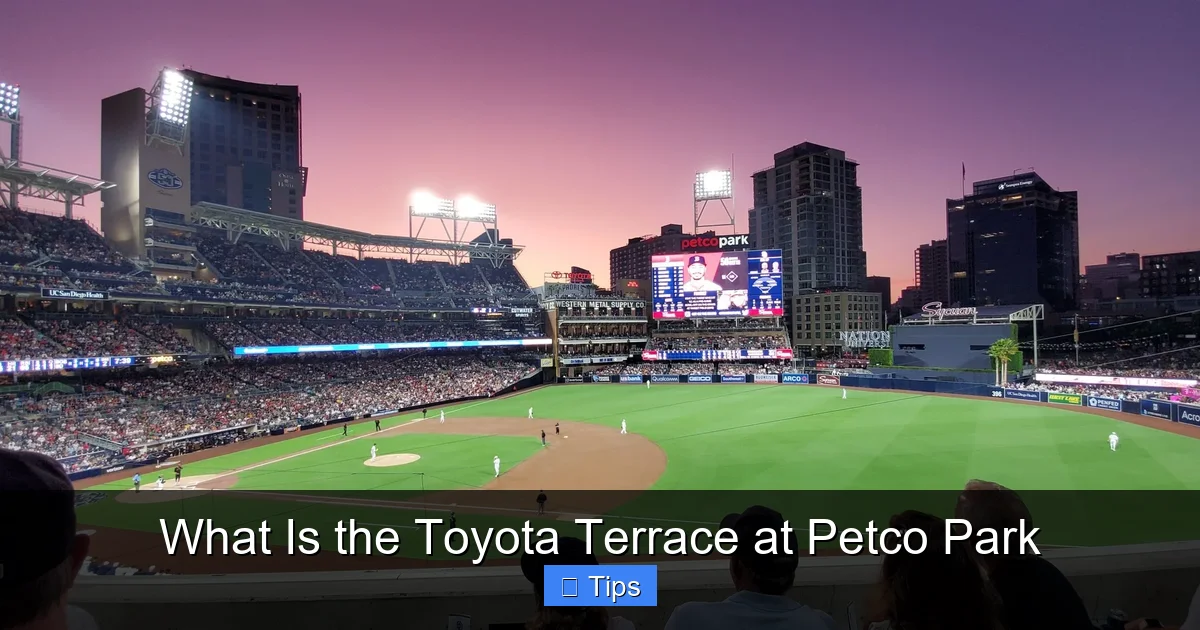 What Is the Toyota Terrace at Petco Park