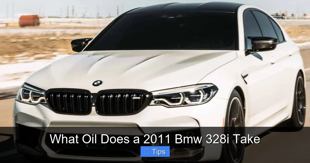 What Oil Does a 2011 Bmw 328i Take