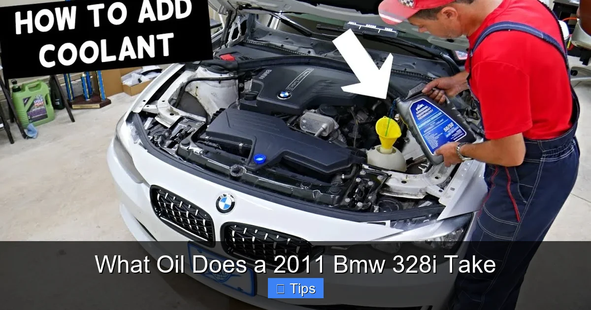 What Oil Does a 2011 Bmw 328i Take