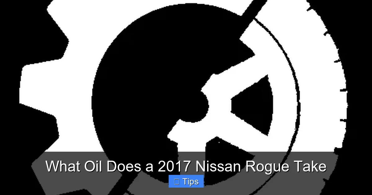 What Oil Does a 2017 Nissan Rogue Take