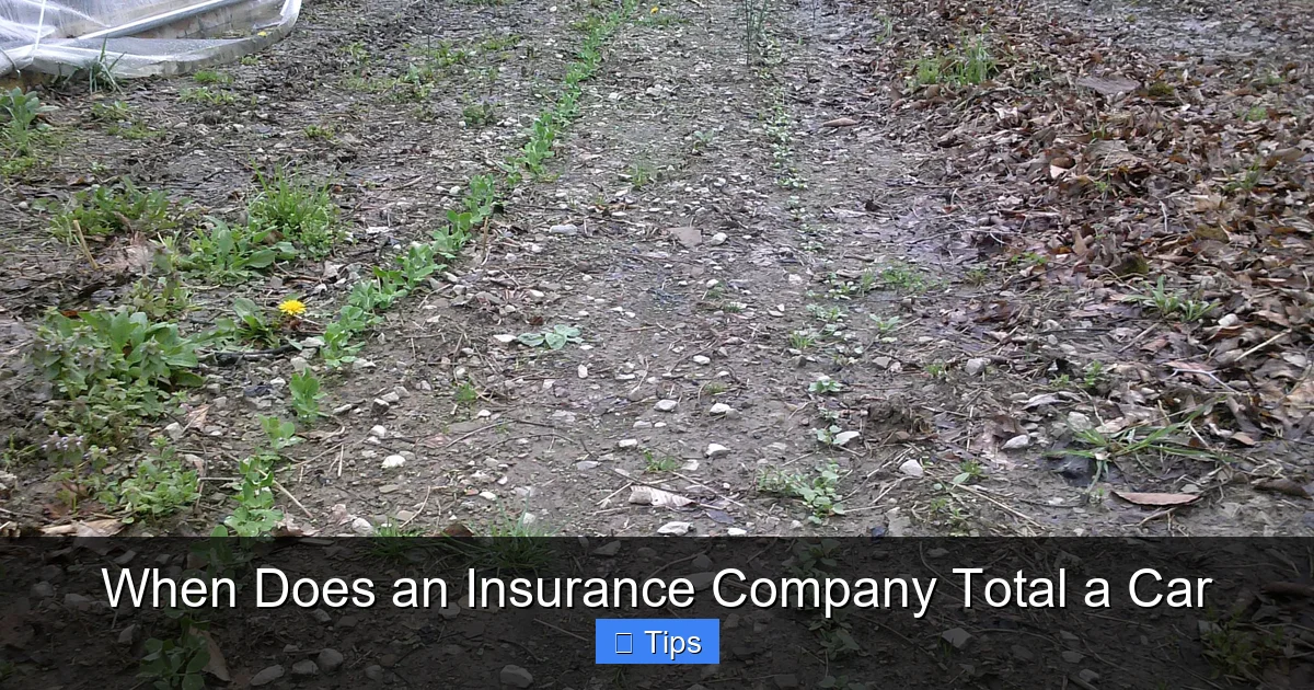 When Does an Insurance Company Total a Car