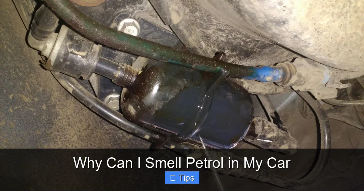 Why Can I Smell Petrol in My Car
