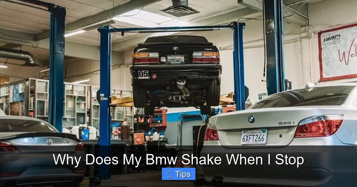 Why Does My Bmw Shake When I Stop